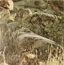 Load image into Gallery viewer, Dave Mason : Alone Together (LP, Album, Tri)