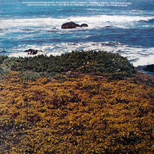 Load image into Gallery viewer, Ocean (3) : Put Your Hand In The Hand (LP, Album)