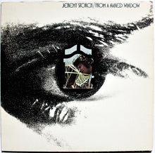 Load image into Gallery viewer, Jeremy Storch : From A Naked Window (LP, Album)