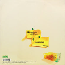 Load image into Gallery viewer, Serial Rhyme Killers / Intoxicated Demons : Something About Mary / Sweet Dreams (12&quot;, Gre)