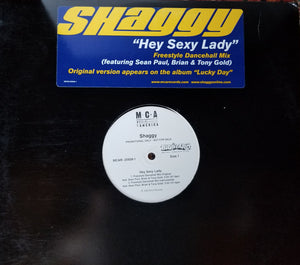 Shaggy : Hey Sexy Lady Freestyle Dancehall Mix (12")