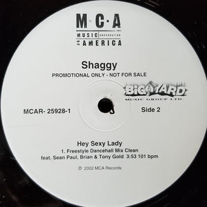 Shaggy : Hey Sexy Lady Freestyle Dancehall Mix (12")