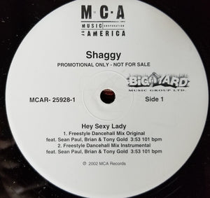 Shaggy : Hey Sexy Lady Freestyle Dancehall Mix (12")