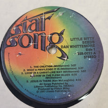 Load image into Gallery viewer, Dan Whittemore : Little Bitty Seeds (LP, Album)