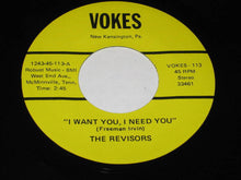 Load image into Gallery viewer, The Revisors : I Want You, I Need You / High On The Mountain (7&quot;)