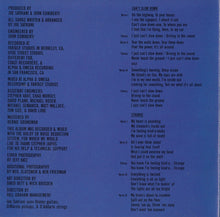 Load image into Gallery viewer, Joe Satriani : Flying In A Blue Dream (CD, Album)