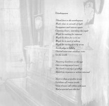 Load image into Gallery viewer, Opeth : Damnation (CD, Album)