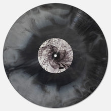 Load image into Gallery viewer, Flying Lotus : Cosmogramma (2xLP, Album, Club, RE, RM, Bla)