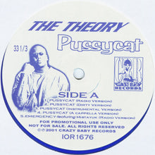 Load image into Gallery viewer, The Theory : Pussycat (12&quot;, Promo, Lim)