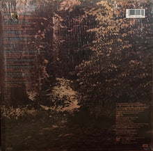 Load image into Gallery viewer, Kenny Dale : When It's Just You And Me (LP, Album)
