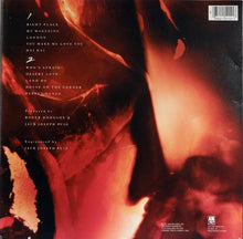 Load image into Gallery viewer, Roger Hodgson : Hai Hai (LP, Album)