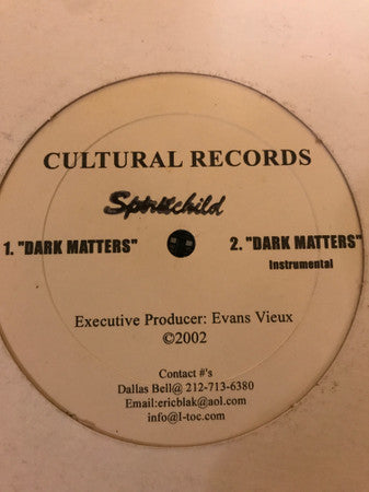 Spiritchild (2) : Dark Matters (12