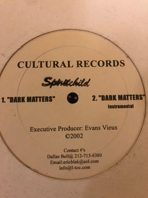 Spiritchild (2) : Dark Matters (12