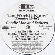 Load image into Gallery viewer, Goodie Mob &amp; Esthero / dead prez : The World I Know (Country Livin&#39;) / Sellin&#39; D.O.P.E. (12&quot;, Promo)