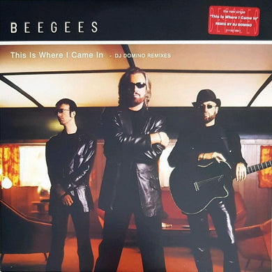 Bee Gees : This Is Where I Came In (DJ Domino Remixes) (12