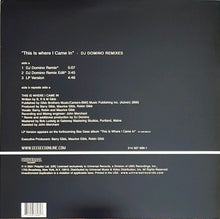 Load image into Gallery viewer, Bee Gees : This Is Where I Came In (DJ Domino Remixes) (12&quot;, Single)