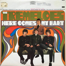 Load image into Gallery viewer, The Tremeloes : Here Comes My Baby (LP, Album, Pit)