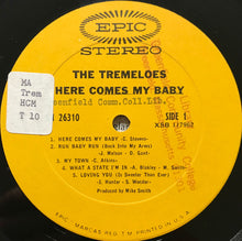 Load image into Gallery viewer, The Tremeloes : Here Comes My Baby (LP, Album, Pit)