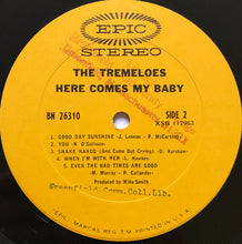 Load image into Gallery viewer, The Tremeloes : Here Comes My Baby (LP, Album, Pit)