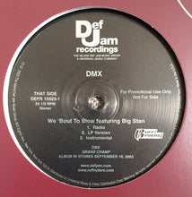 Load image into Gallery viewer, DMX : Get It On The Floor (12&quot;, Promo)