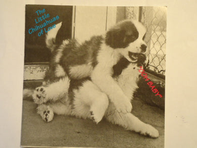 The Little Chihuahuas Of Love : Ooh Baby (CD, Album)