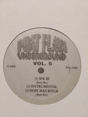 Various : Phat Flava Underground Vol.5 (12