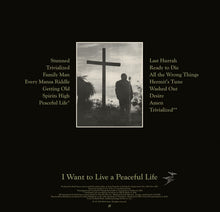Load image into Gallery viewer, Holy Sons : I Want To Live A Peaceful Life (LP, Album, Ltd, RE, RM)