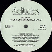 Load image into Gallery viewer, Dan Gibson : Solitudes - Environmental Sound Experiences Volume Six (LP, Album)