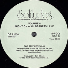 Load image into Gallery viewer, Dan Gibson : Solitudes - Environmental Sound Experiences Volume Six (LP, Album)