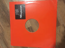 Load image into Gallery viewer, Nas : Nastradamus (LP, Album, Promo)