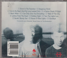 Load image into Gallery viewer, The Broadcasters (2) : 13 Ghosts (CD, Album)