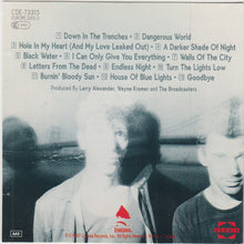Load image into Gallery viewer, The Broadcasters (2) : 13 Ghosts (CD, Album)