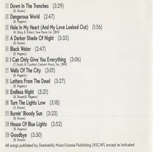 Load image into Gallery viewer, The Broadcasters (2) : 13 Ghosts (CD, Album)