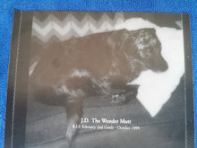 Load image into Gallery viewer, Reggie And The Full Effect : Promotional Copy (CD, Album)