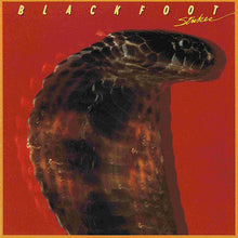 Load image into Gallery viewer, Blackfoot (3) : Strikes (LP, Album, RE)