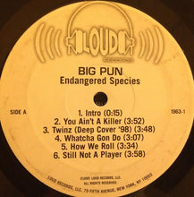 Load image into Gallery viewer, Big Pun* : Endangered Species (2xLP, Comp)