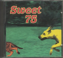 Load image into Gallery viewer, Sweet 75 : Sweet 75 (CD, Album, Promo)