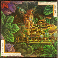 Load image into Gallery viewer, Spyro Gyra : Catching The Sun (LP, Album, Gat)