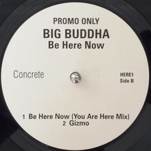 Load image into Gallery viewer, Big Buddha : Be Here Now (12&quot;, Promo)