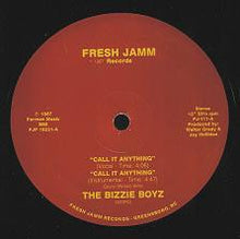 Load image into Gallery viewer, The Bizzie Boyz : Call It Anything (12&quot;)