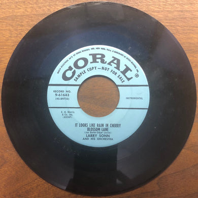 Larry Sonn Orchestra : Close Cover Before Striking (7