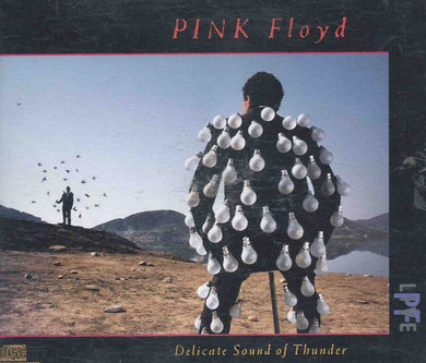 Pink Floyd : Delicate Sound Of Thunder (2xCD, Album)
