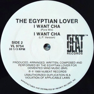 The Egyptian Lover* : D.S.L.'s (12")