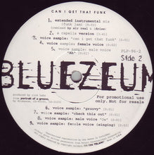 Load image into Gallery viewer, Bluezeum : Can I Get That Funk (12&quot;, Promo)