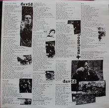 Load image into Gallery viewer, David + David : Boomtown (LP, Album, Ele)