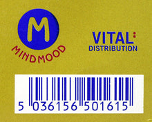 Load image into Gallery viewer, Simple Minds : Homosapien (Malcolm Duffy Mixes) (12&quot;)