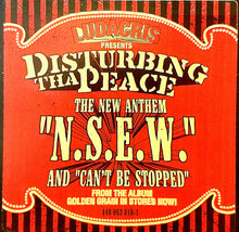 Load image into Gallery viewer, Disturbing Tha Peace : N.S.E.W. / Can`t Be Stopped (I Know) (12&quot;, Promo)