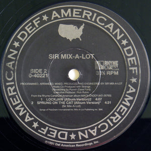 Sir Mix-A-Lot : One Time's Got No Case (12", Maxi)