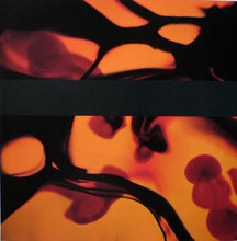 Load image into Gallery viewer, Supreme Love Gods : Supreme Love Gods (CD, Album)