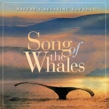 Load image into Gallery viewer, No Artist : Song Of The Whales (CD)